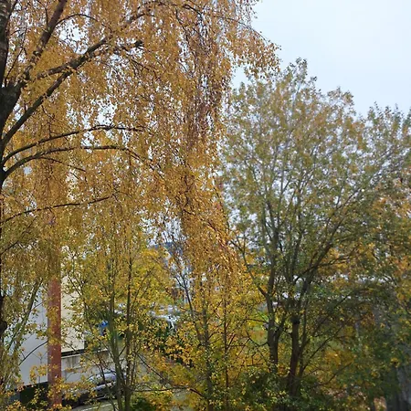 305 Metrow Do Morza Kolberg