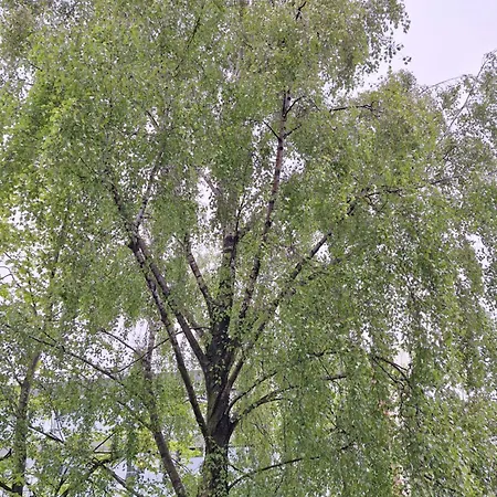 305 Metrow Do Morza Kołobrzeg