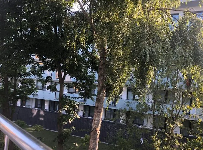 305 Metrow Do Morza קולובז'ג