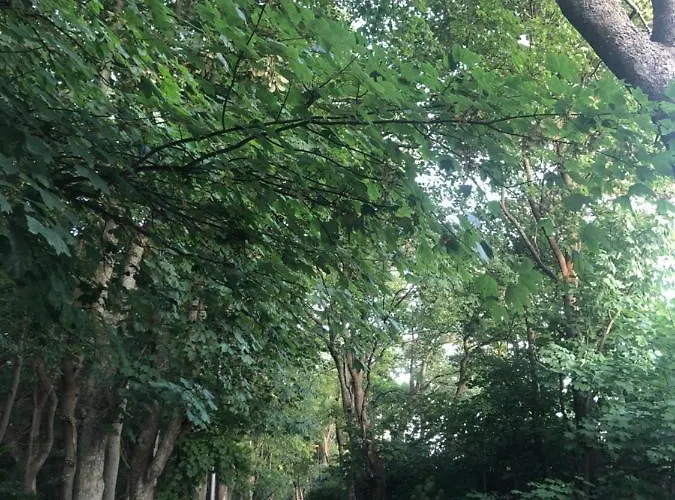 305 Metrow Do Morza شقة كولوبرزيغ