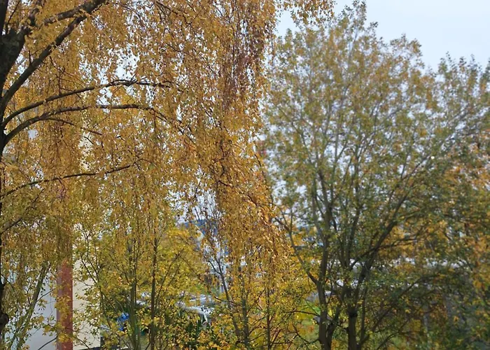 305 Metrow Do Morza קולובז'ג